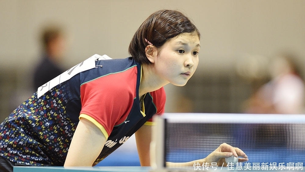 国际体育合 国际体育合